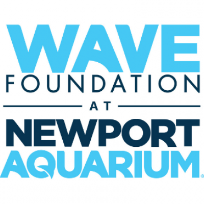 WAVE Foundation logo